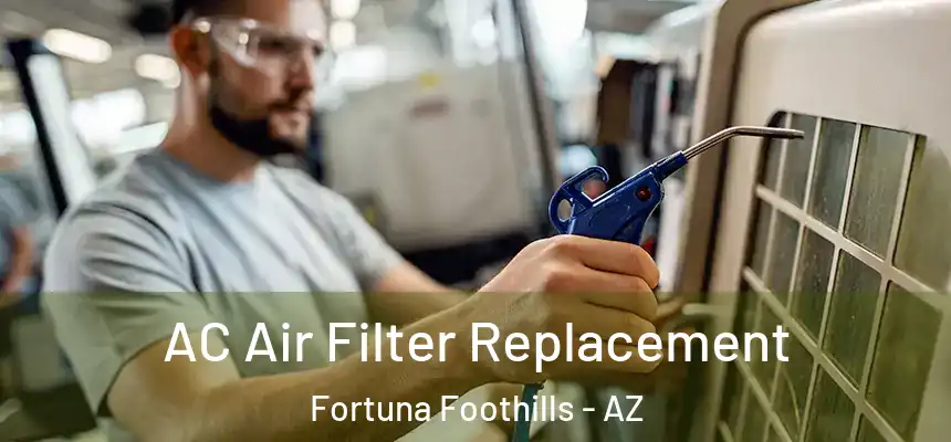  AC Air Filter Replacement Fortuna Foothills - AZ