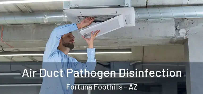  Air Duct Pathogen Disinfection Fortuna Foothills - AZ