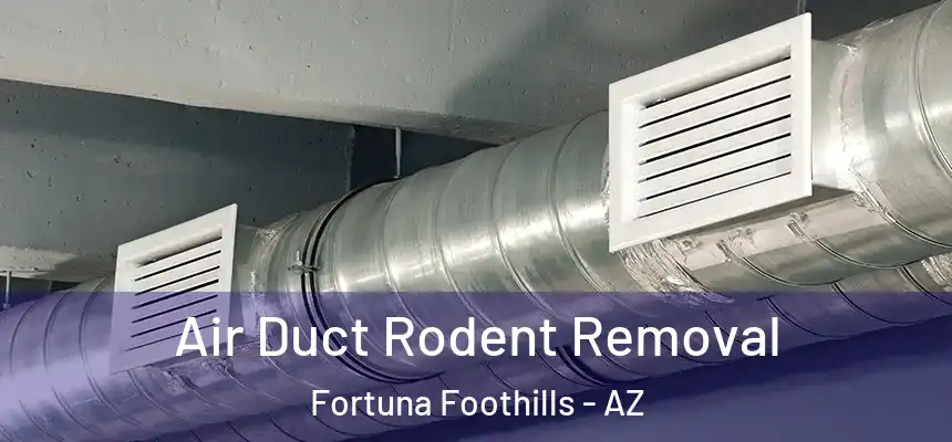  Air Duct Rodent Removal Fortuna Foothills - AZ