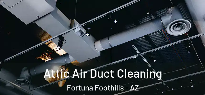  Attic Air Duct Cleaning Fortuna Foothills - AZ