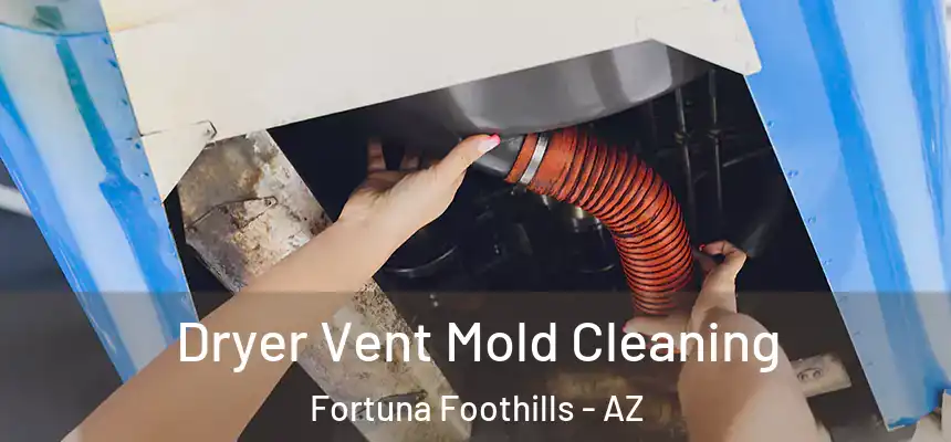 Dryer Vent Mold Cleaning Fortuna Foothills - AZ