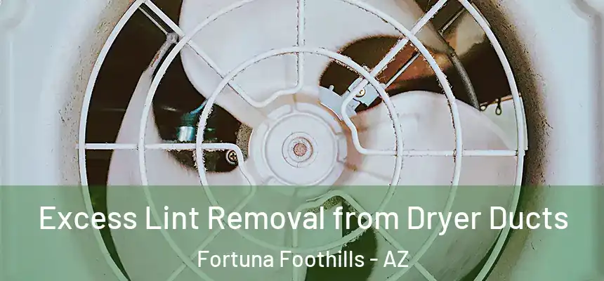 Excess Lint Removal from Dryer Ducts Fortuna Foothills - AZ