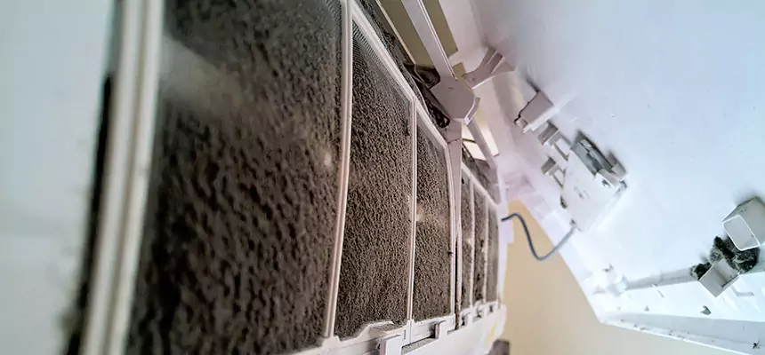 Preventive Air Duct Bacteria Removal in Fortuna Foothills