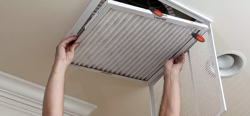 Preventive Cockroach-Proofing for Ducts in Fortuna Foothills