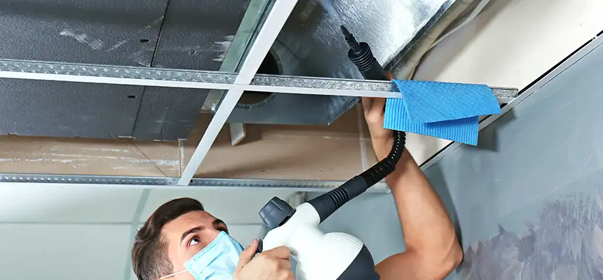 Our Air Duct Rodent Removal Services in Fortuna Foothills, AZ
