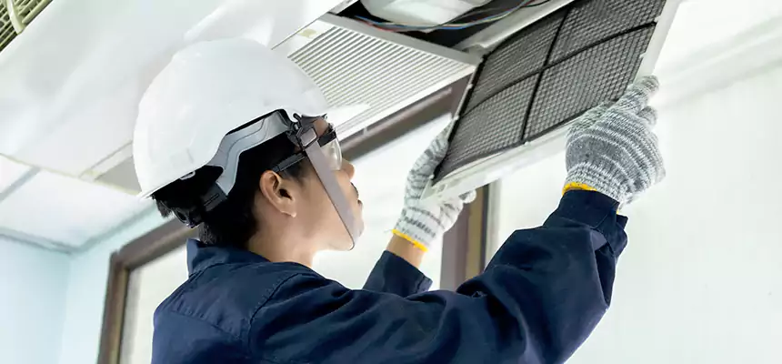 Our Mold & Mildew Removal from Air Ducts Services in Fortuna Foothills, AZ