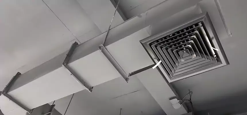 Our Pest Removal From Ducts Services in Fortuna Foothills, AZ