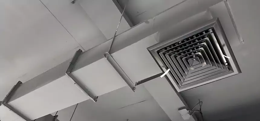 Our Rodent Droppings In Vents Services in Fortuna Foothills, AZ