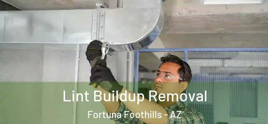 Lint Buildup Removal Fortuna Foothills - AZ