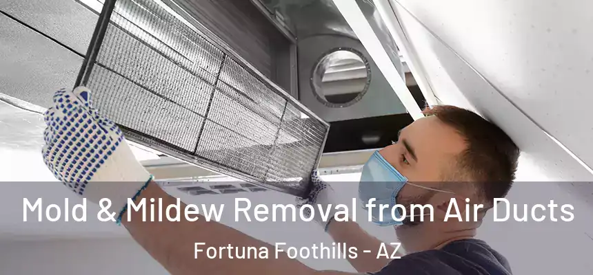  Mold & Mildew Removal from Air Ducts Fortuna Foothills - AZ