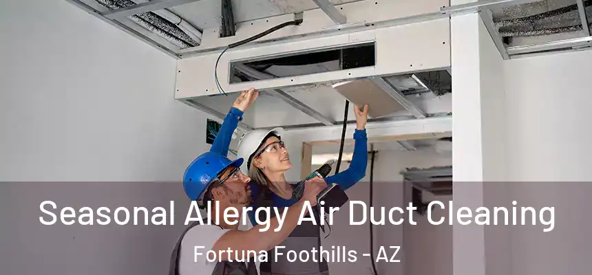  Seasonal Allergy Air Duct Cleaning Fortuna Foothills - AZ