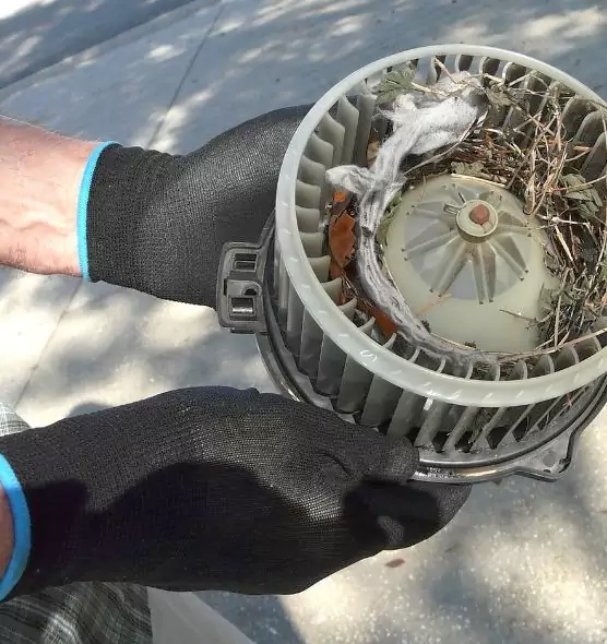 About Air Duct Rat Removal in Fortuna Foothills, AZ