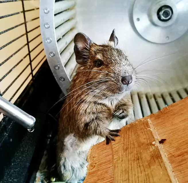 Why Homeowners & Businesses Trust Us Fortuna Foothills, AZ?