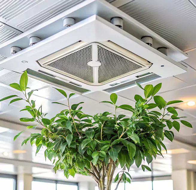 Why Homeowners & Businesses Trust Us in Fortuna Foothills, AZ?