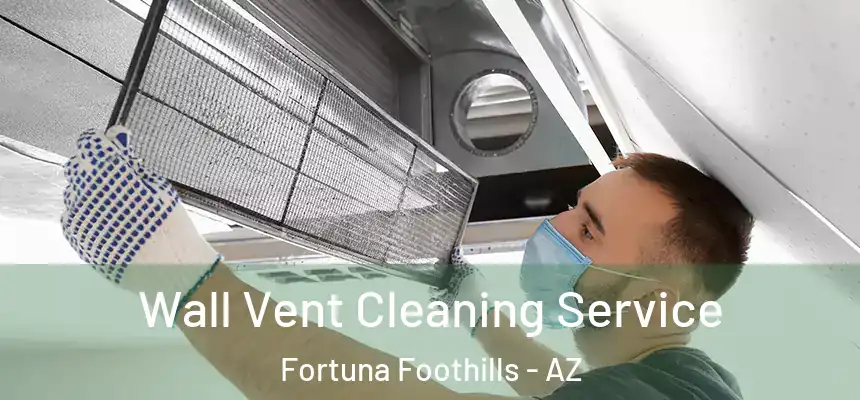 Wall Vent Cleaning Service Fortuna Foothills - AZ