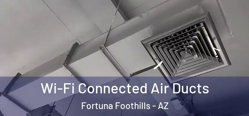  Wi-Fi Connected Air Ducts Fortuna Foothills - AZ